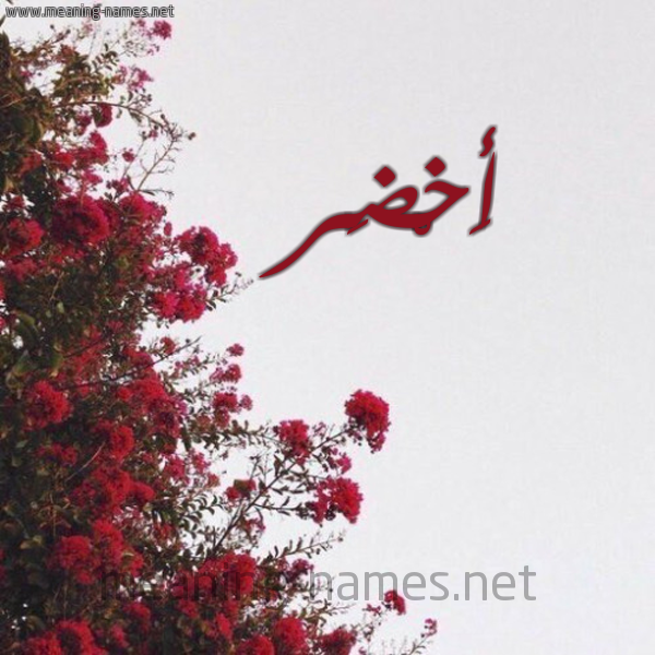 شكل 18 صوره الورد الأحمر للإسم بخط رقعة صورة اسم أَخْضَر AAKHDAR