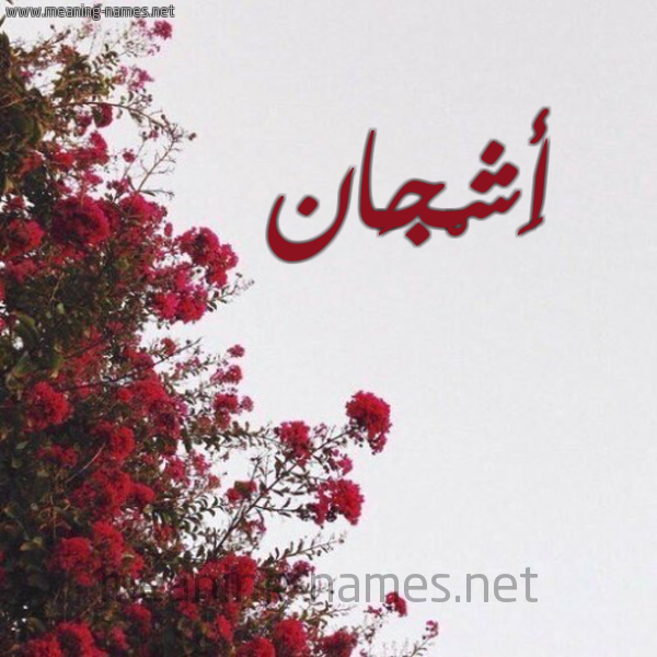 شكل 18 صوره الورد الأحمر للإسم بخط رقعة صورة اسم أَشْجَان AASHGAAN