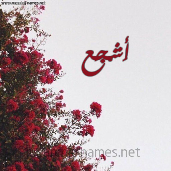شكل 18 صوره الورد الأحمر للإسم بخط رقعة صورة اسم أَشْجَع AASHGAA