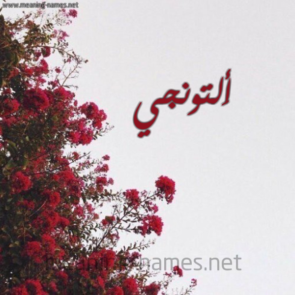شكل 18 صوره الورد الأحمر للإسم بخط رقعة صورة اسم أَلتونجي AALTONGI