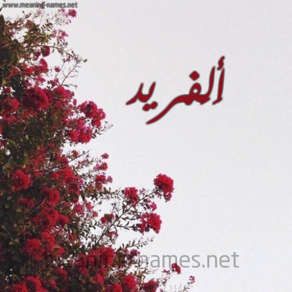 شكل 18 صوره الورد الأحمر للإسم بخط رقعة صورة اسم أَلَفْريد AALAFRID