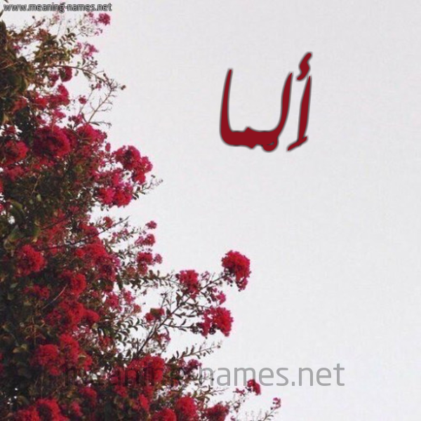 شكل 18 صوره الورد الأحمر للإسم بخط رقعة صورة اسم أَلْما Alma