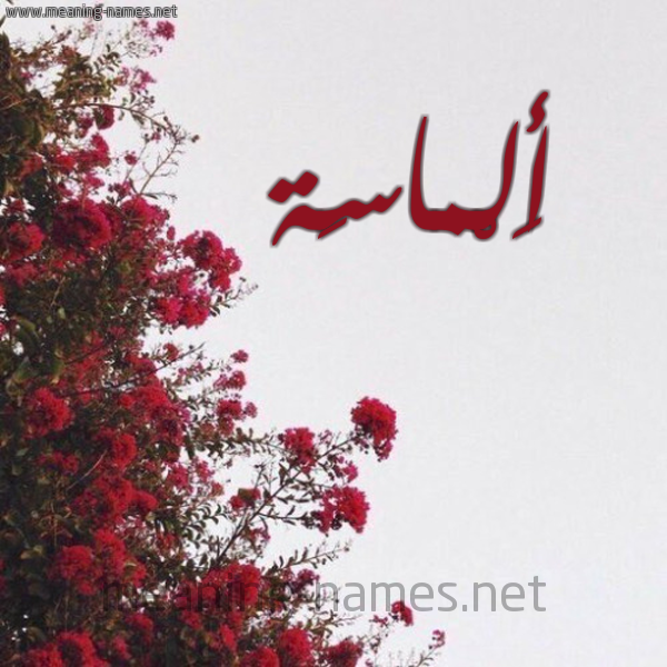 شكل 18 صوره الورد الأحمر للإسم بخط رقعة صورة اسم أَلْماسَة AALMASAH