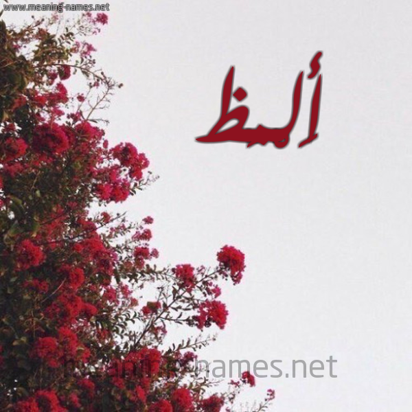 شكل 18 صوره الورد الأحمر للإسم بخط رقعة صورة اسم أَلْمَظ AALMAZ