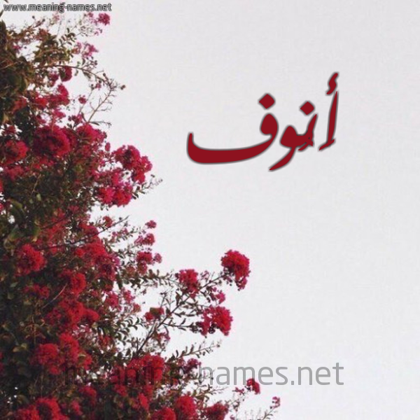 شكل 18 صوره الورد الأحمر للإسم بخط رقعة صورة اسم أَنُوف AANOOF