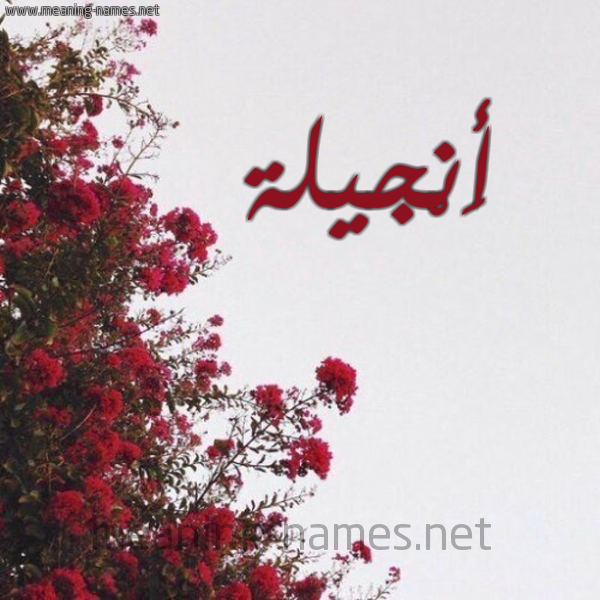 شكل 18 صوره الورد الأحمر للإسم بخط رقعة صورة اسم أَنْجيلة AANGILH