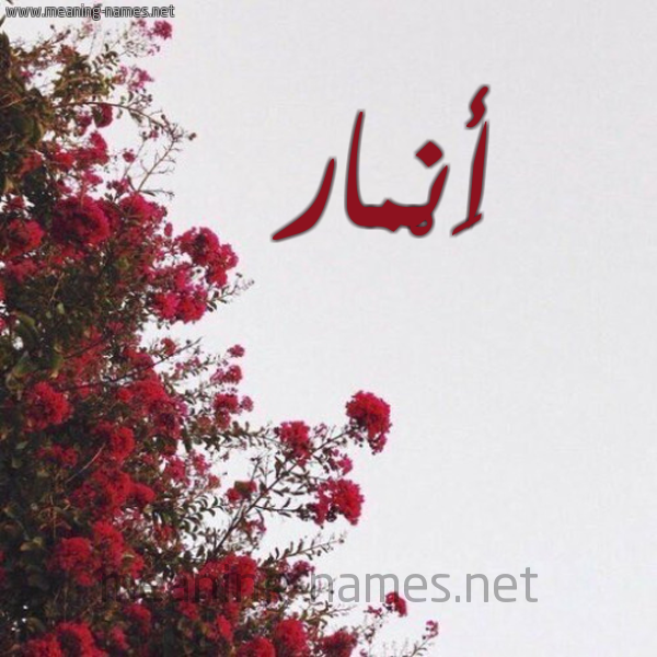 شكل 18 صوره الورد الأحمر للإسم بخط رقعة صورة اسم أَنْمار ANMAR