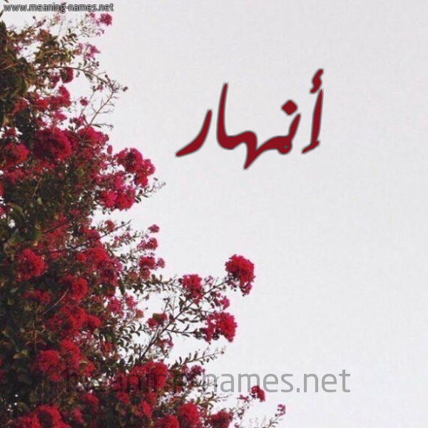 شكل 18 صوره الورد الأحمر للإسم بخط رقعة صورة اسم أَنْهار Anhar