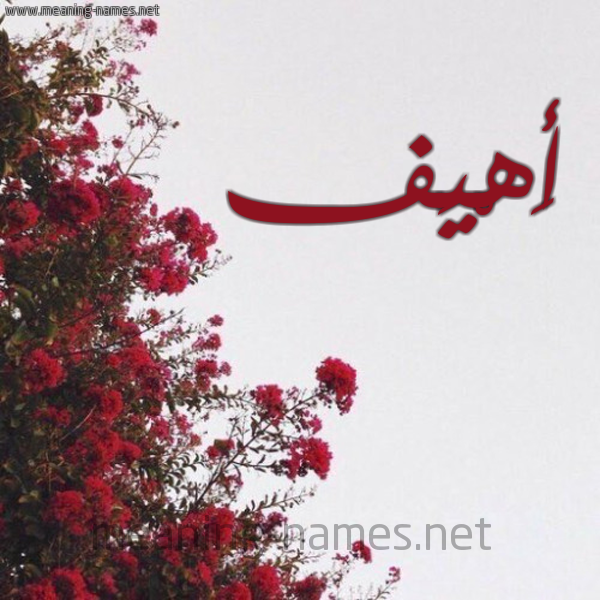 شكل 18 صوره الورد الأحمر للإسم بخط رقعة صورة اسم أَهْيَف AAHIAF