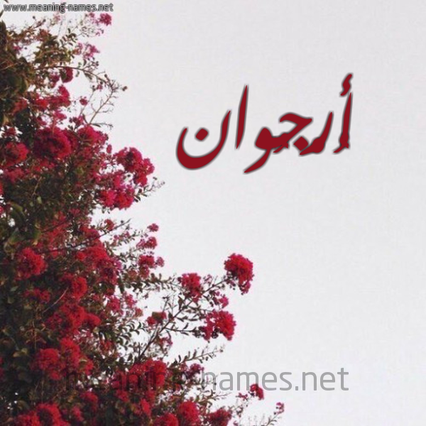 شكل 18 صوره الورد الأحمر للإسم بخط رقعة صورة اسم أُرْجُوان Aorgoan