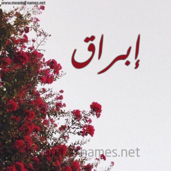 شكل 18 صوره الورد الأحمر للإسم بخط رقعة صورة اسم إبراق Ebraq