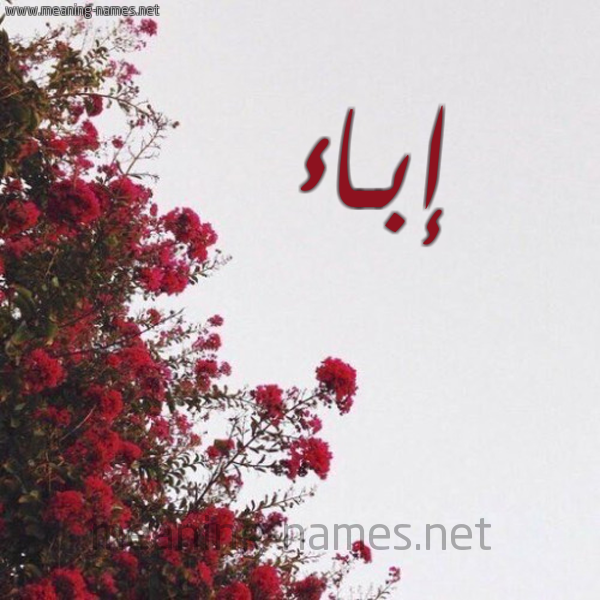 شكل 18 صوره الورد الأحمر للإسم بخط رقعة صورة اسم إبـاء Ebaa