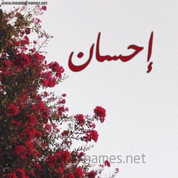 شكل 18 صوره الورد الأحمر للإسم بخط رقعة صورة اسم إحسان Ehsan