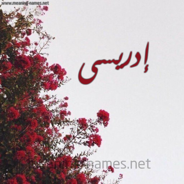 شكل 18 صوره الورد الأحمر للإسم بخط رقعة صورة اسم إدريسى edrissi