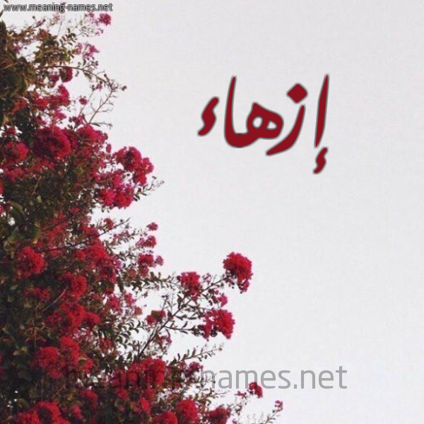 شكل 18 صوره الورد الأحمر للإسم بخط رقعة صورة اسم إزهاء Ezhaa