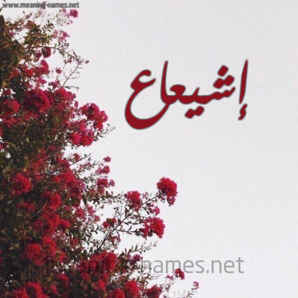 شكل 18 صوره الورد الأحمر للإسم بخط رقعة صورة اسم إشيعاع Ishaa