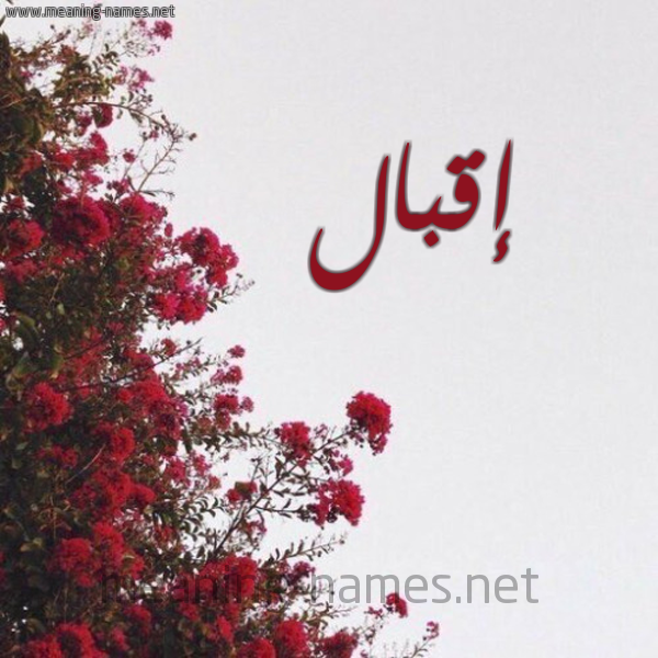 شكل 18 صوره الورد الأحمر للإسم بخط رقعة صورة اسم إقبال EQBAL