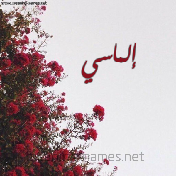شكل 18 صوره الورد الأحمر للإسم بخط رقعة صورة اسم إلماسي Elmas