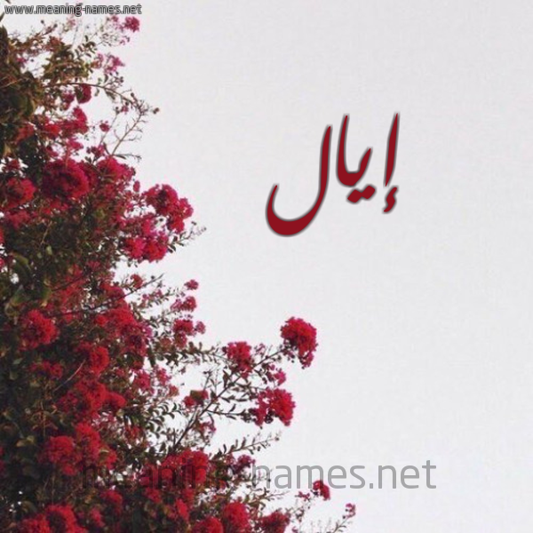 شكل 18 صوره الورد الأحمر للإسم بخط رقعة صورة اسم إيال Eyal