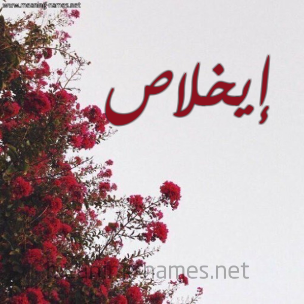 شكل 18 صوره الورد الأحمر للإسم بخط رقعة صورة اسم إيخلاص Ikhlas
