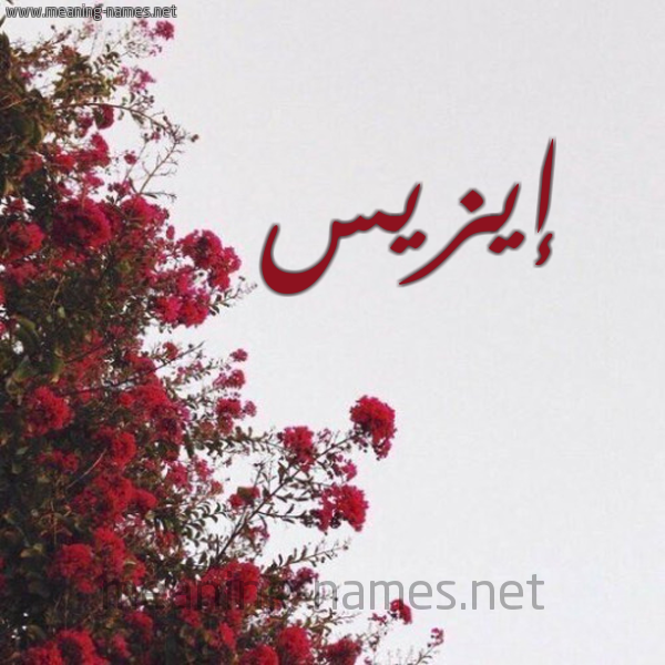 شكل 18 صوره الورد الأحمر للإسم بخط رقعة صورة اسم إيزيس EIZIS