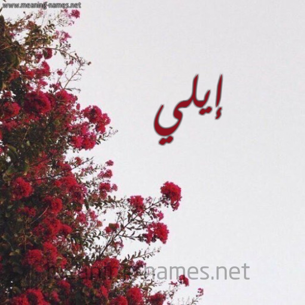 شكل 18 صوره الورد الأحمر للإسم بخط رقعة صورة اسم إيلي EILI