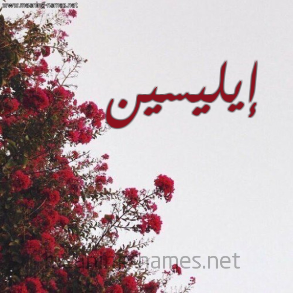 شكل 18 صوره الورد الأحمر للإسم بخط رقعة صورة اسم إيليسين Elcin