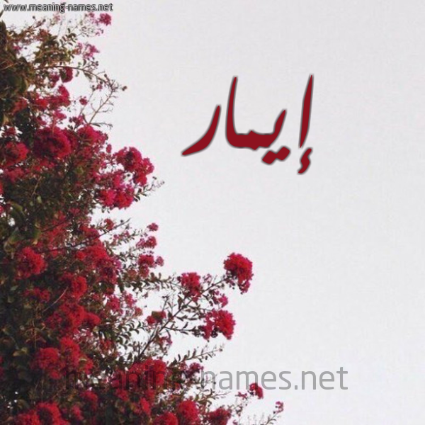 شكل 18 صوره الورد الأحمر للإسم بخط رقعة صورة اسم إيمار aymar