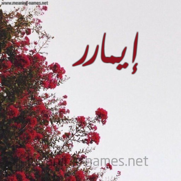 شكل 18 صوره الورد الأحمر للإسم بخط رقعة صورة اسم إيمارر aymar