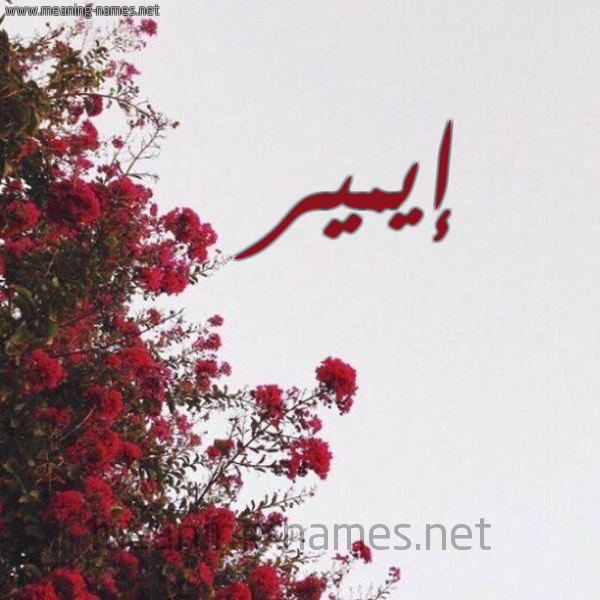 شكل 18 صوره الورد الأحمر للإسم بخط رقعة صورة اسم إيمير Emir