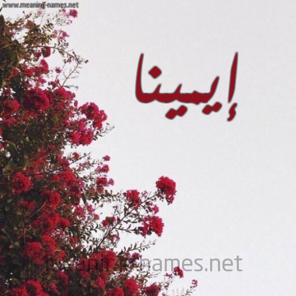شكل 18 صوره الورد الأحمر للإسم بخط رقعة صورة اسم إيمينا Emina