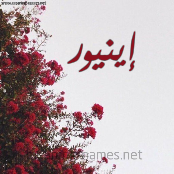 شكل 18 صوره الورد الأحمر للإسم بخط رقعة صورة اسم إينيور Aynur