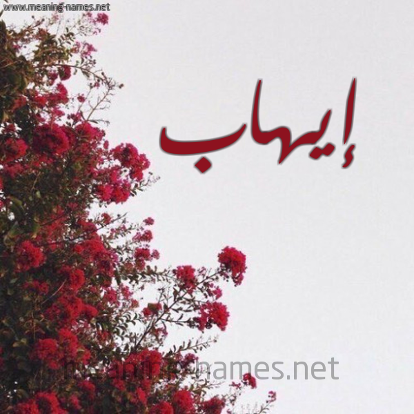 شكل 18 صوره الورد الأحمر للإسم بخط رقعة صورة اسم إيهاب EIHAB