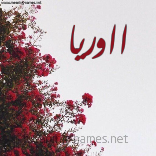 شكل 18 صوره الورد الأحمر للإسم بخط رقعة صورة اسم ااوريا Oria