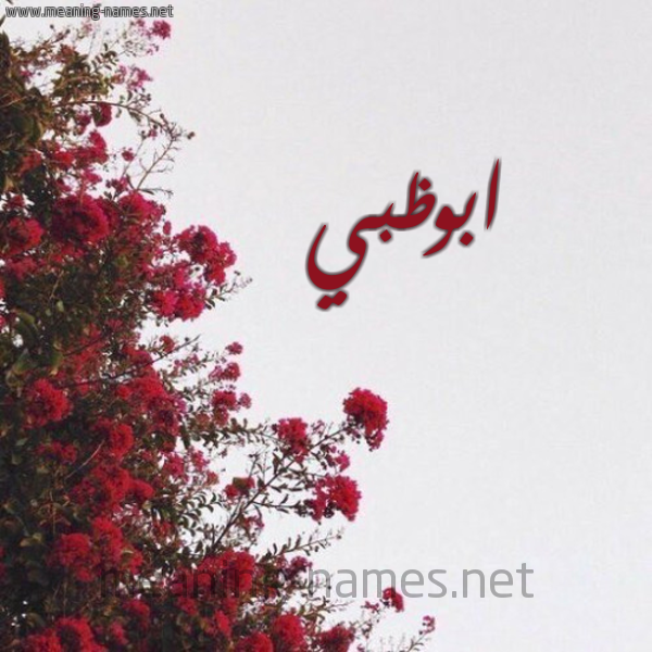 شكل 18 صوره الورد الأحمر للإسم بخط رقعة صورة اسم ابوظبي ABOZBI