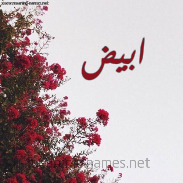 شكل 18 صوره الورد الأحمر للإسم بخط رقعة صورة اسم ابيض Abiad