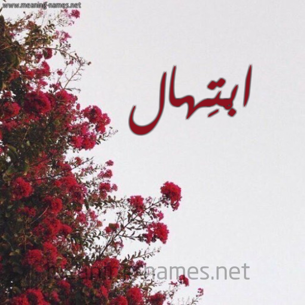 شكل 18 صوره الورد الأحمر للإسم بخط رقعة صورة اسم ابْتِهال ABTEHAL