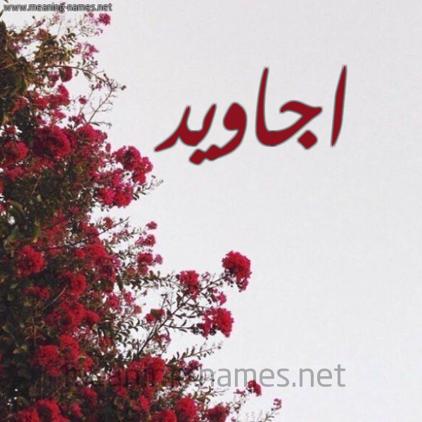 شكل 18 صوره الورد الأحمر للإسم بخط رقعة صورة اسم اجاويد AGAOID