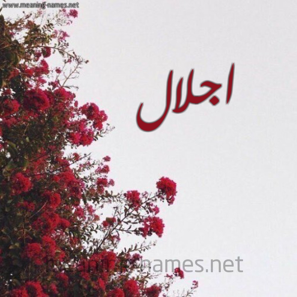 شكل 18 صوره الورد الأحمر للإسم بخط رقعة صورة اسم اجلال Aglal
