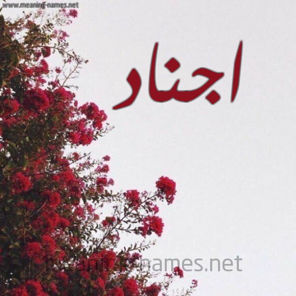 شكل 18 صوره الورد الأحمر للإسم بخط رقعة صورة اسم اجناد AGNAD