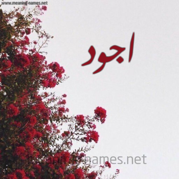 شكل 18 صوره الورد الأحمر للإسم بخط رقعة صورة اسم اجود Agod