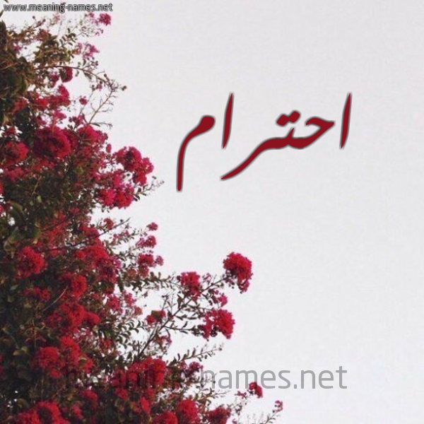 شكل 18 صوره الورد الأحمر للإسم بخط رقعة صورة اسم احترام Ahtram