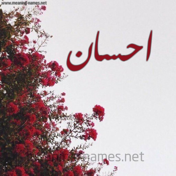 شكل 18 صوره الورد الأحمر للإسم بخط رقعة صورة اسم احسان Ehsan