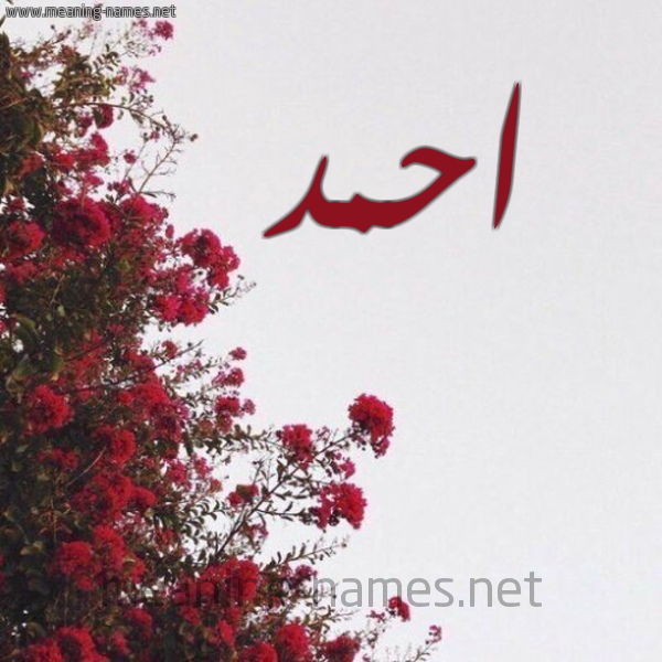 شكل 18 صوره الورد الأحمر للإسم بخط رقعة صورة اسم احمد Ahmed