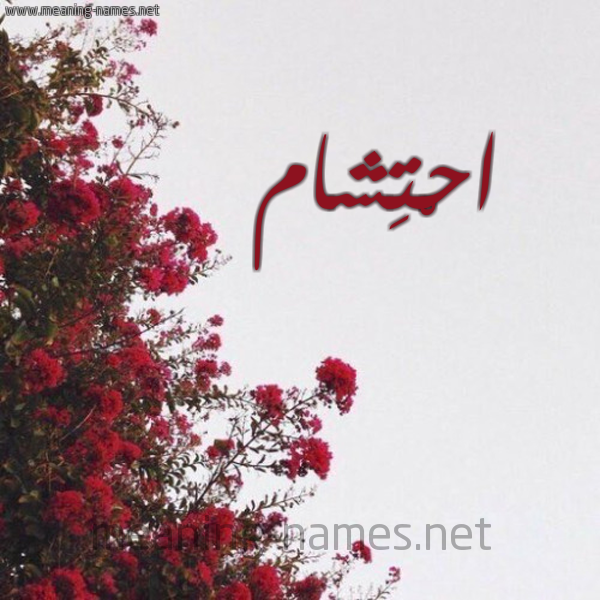 شكل 18 صوره الورد الأحمر للإسم بخط رقعة صورة اسم احْتِشام AHTESHAM