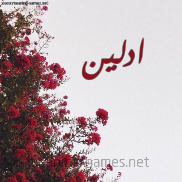 شكل 18 صوره الورد الأحمر للإسم بخط رقعة صورة اسم ادلين adaleen