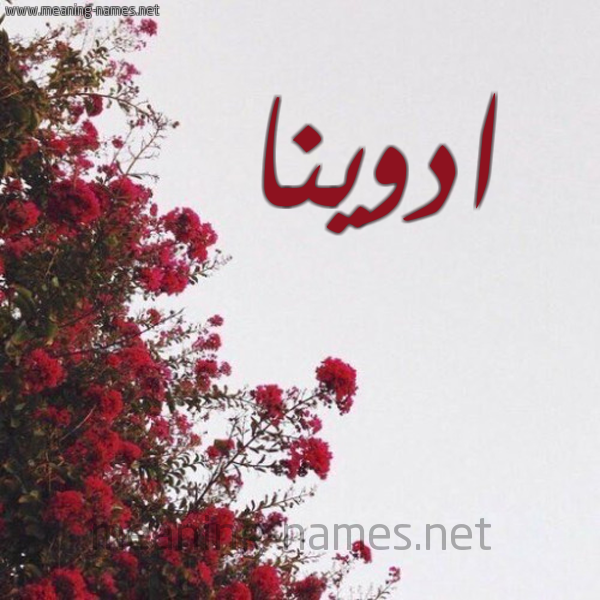 شكل 18 صوره الورد الأحمر للإسم بخط رقعة صورة اسم ادوينا adwina
