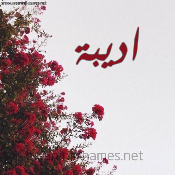شكل 18 صوره الورد الأحمر للإسم بخط رقعة صورة اسم اديبة ADIBH