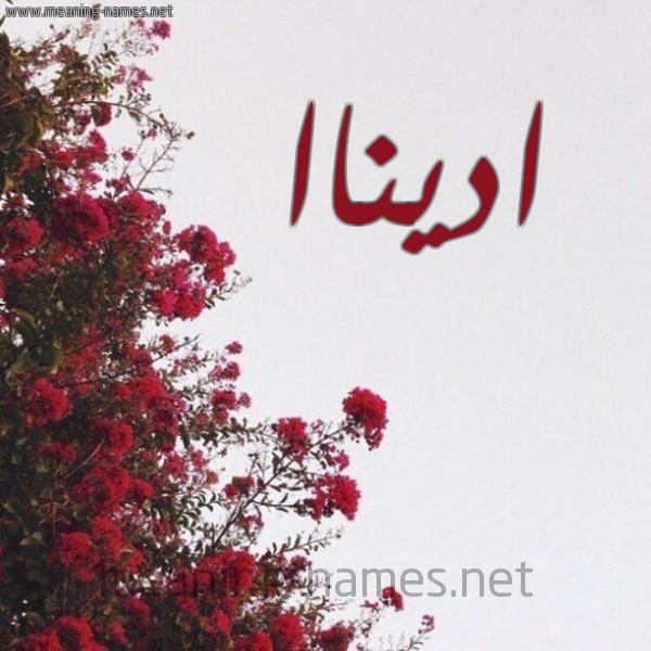 شكل 18 صوره الورد الأحمر للإسم بخط رقعة صورة اسم اديناا adinnaa
