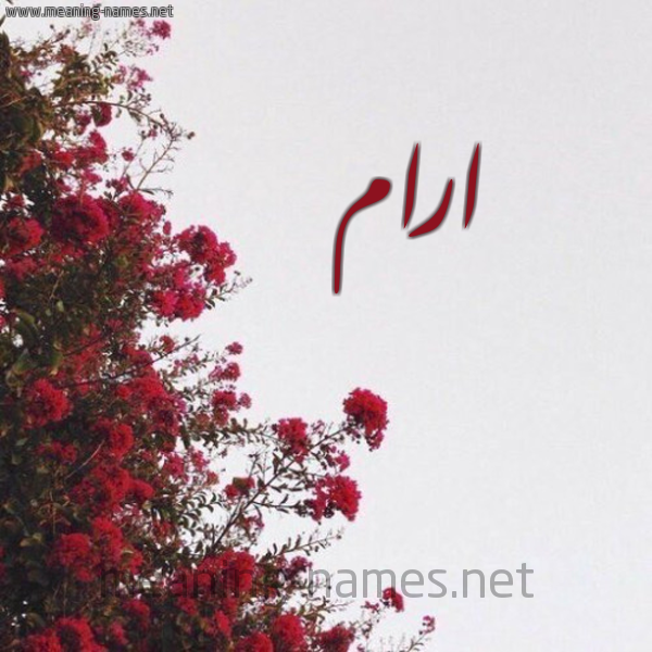 شكل 18 صوره الورد الأحمر للإسم بخط رقعة صورة اسم ارام ARAM
